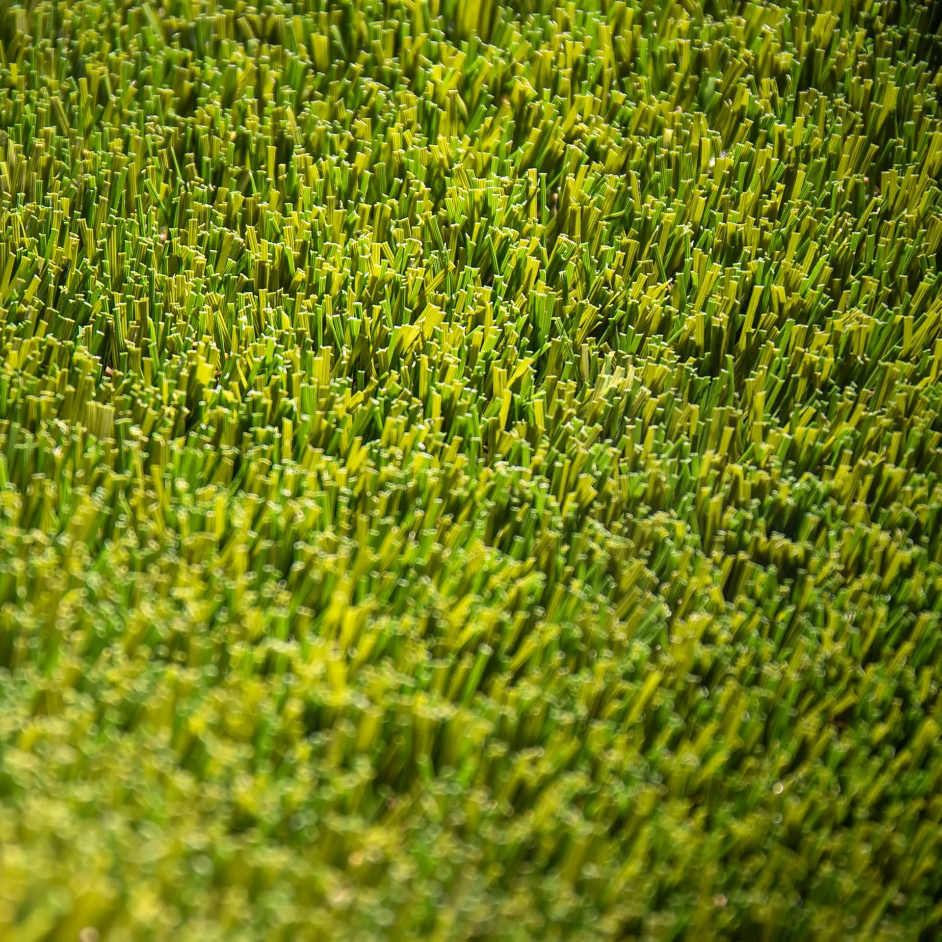 Fortaleza 50 · detalle